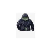 Donsjas Blauer 26SBLUC02182888