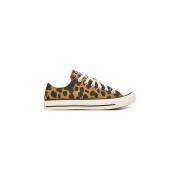Lage Sneakers Converse Chuck Taylor All Star Cow Print