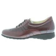 Sneakers Schneider 13178