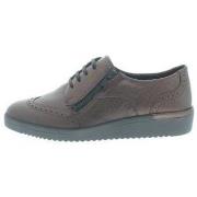 Sneakers Solidus Kathy K