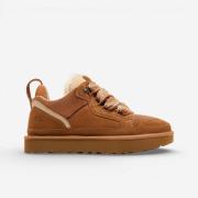 Lage Sneakers UGG M Lowmel Chestnut
