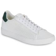 Lage Sneakers Clae BRADLEY KNIT