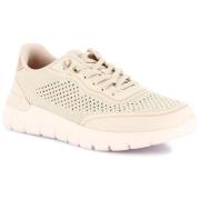 Lage Sneakers Grunland GRU-E26-SC6262-BE