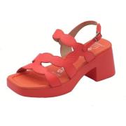 Sandalen Wonders D-1020 Hura Wild