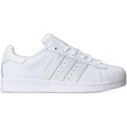 Lage Sneakers adidas AQ1214