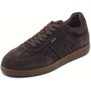 Lage Sneakers NeroGiardini I500890U Arold T.