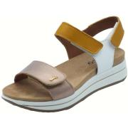 Sandalen IgI&amp;CO 7675455 Vitello Laminato