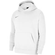 Sweater Nike Dry Park 20