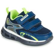 Lage Sneakers Chicco COCIS