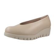 Ballerina's Wonders C33100