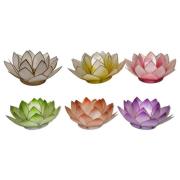 Kandelaars, kaarshouders Signes Grimalt 6U Kaarsenhouder