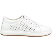 Lage Sneakers Andrea Conti Sneaker