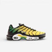 Lage Sneakers Nike Air Max Plus Jamaica Pine Green