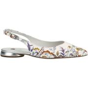 Ballerina's Högl Ballerina´s