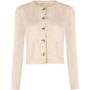 Windjack Rinascimento CFC0129495003