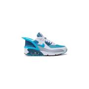 Lage Sneakers Nike Air Max