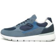 Lage Sneakers NeroGiardini Velour T.Dragon Incanto 431 Cile ette T.New...