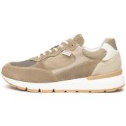 Lage Sneakers NeroGiardini Arold Velo T.Dragon Fango 5046 Nepal Tortor...