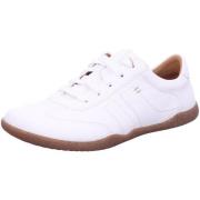 Lage Sneakers Josef Seibel -