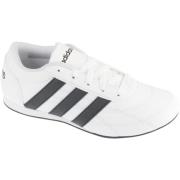 Lage Sneakers adidas adidas Tekwen Lace