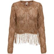 Trui Only Onlleonie Ls Structur Fring Oneck Cc Knt 15362968