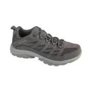 Lage Sneakers Columbia Crestwood