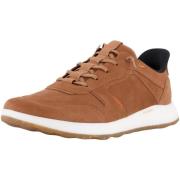 Lage Sneakers Josef Seibel -
