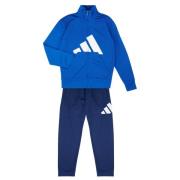 Trainingspak adidas -