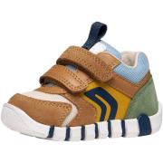 Lage Sneakers Geox 277567