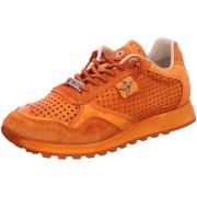 Lage Sneakers Cetti -