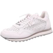 Lage Sneakers Cetti -