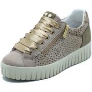 Lage Sneakers IgI&amp;CO 1145722 Scamosc
