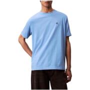 T-shirt Korte Mouw Calvin Klein Jeans LV04RC275G C32