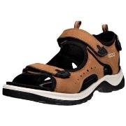 Nette Schoenen Ecco Offroad Andes Ii