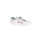 Lage Sneakers Ecco Terracruise LT