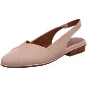 Ballerina's Everybody -