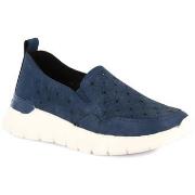 Instappers Grunland DSG-SC6187