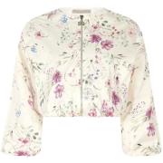 Windjack Rinascimento CFC0129613003