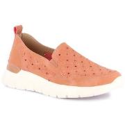 Instappers Grunland DSG-SC6187