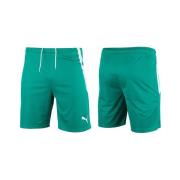 Korte Broek Puma 70492405