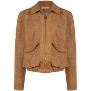 Windjack Rinascimento CFC0129357003