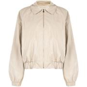 Windjack Rinascimento CFC0129318003