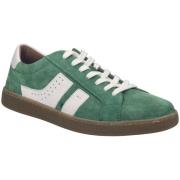 Lage Sneakers Josef Seibel -