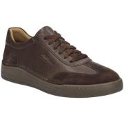 Lage Sneakers Josef Seibel -