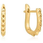 Oorbellen Ania Haie e02507g