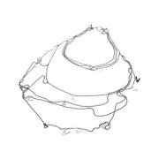 Ketting Victorio &amp; Lucchino vj0001co