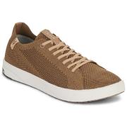Lage Sneakers Saola CANNON KNIT 2.0
