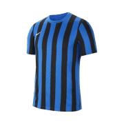 Zwembroek Nike Striped Division Iv