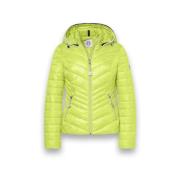 Windjack District Magnolia