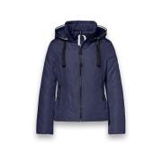 Windjack District Bluebell